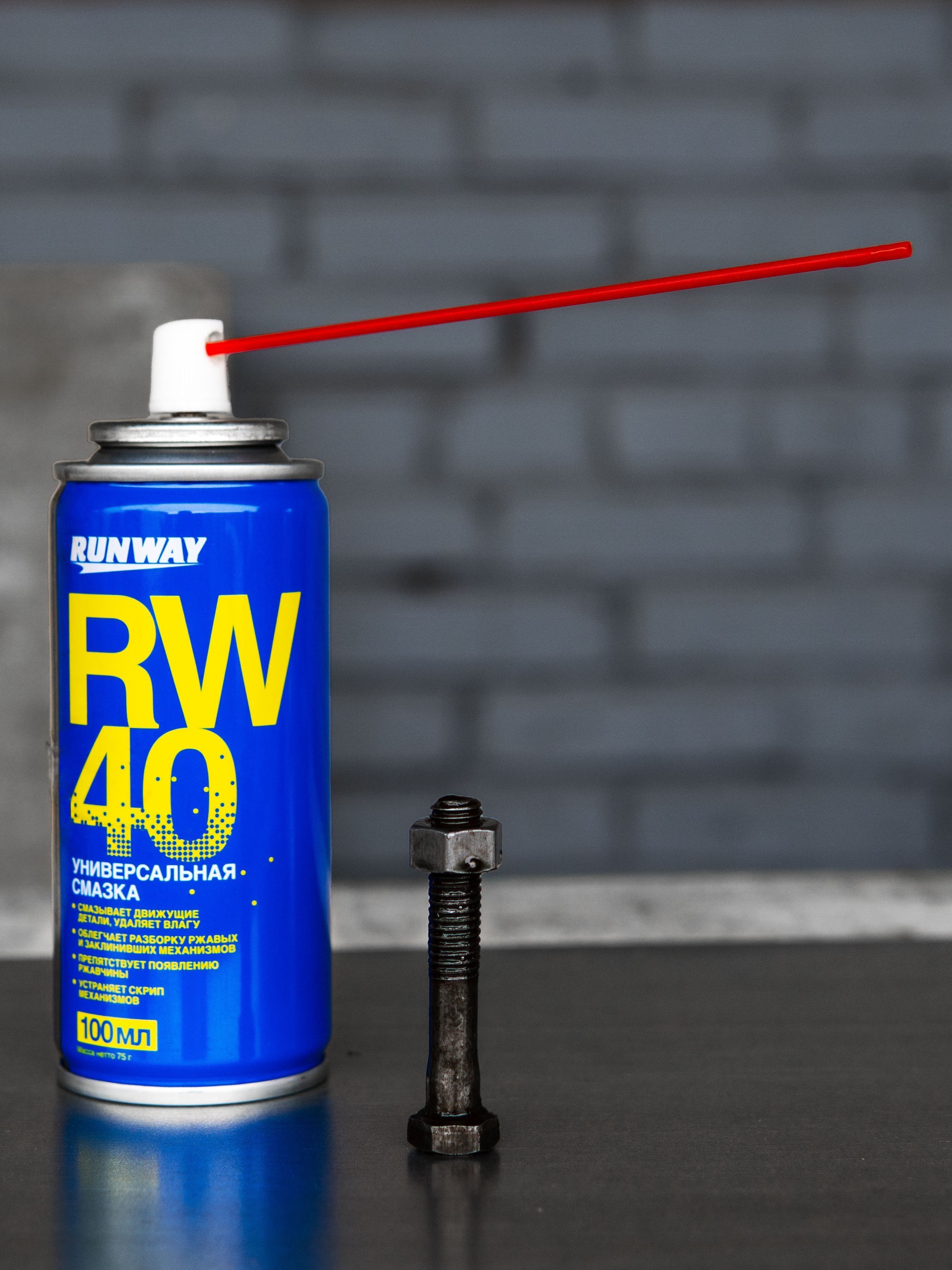 RW6094 Смазка универсальная проникающая RW-40 100 мл С